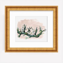 Load image into Gallery viewer, Almond Bloem, Fine Art Print