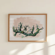 Almond Bloem, Fine Art Print