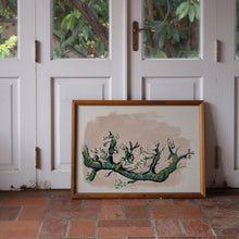 Load image into Gallery viewer, Almond Bloem, Fine Art Print