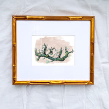 Load image into Gallery viewer, Almond Bloem, Fine Art Print