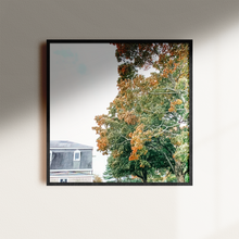 Load image into Gallery viewer, Square Fall Foliage Art framed in black 