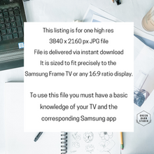 Load image into Gallery viewer, The Boating Party, Samsung Frame TV File