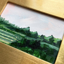 Load image into Gallery viewer, Pink Fields, Original Painting on Canvas