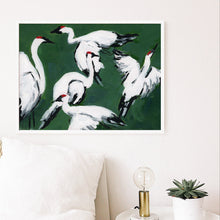 Load image into Gallery viewer, Sandhill Crane Grouping, Jade, Fine Art Print