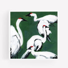 Load image into Gallery viewer, Sandhill Crane Grouping, Jade, Fine Art Print